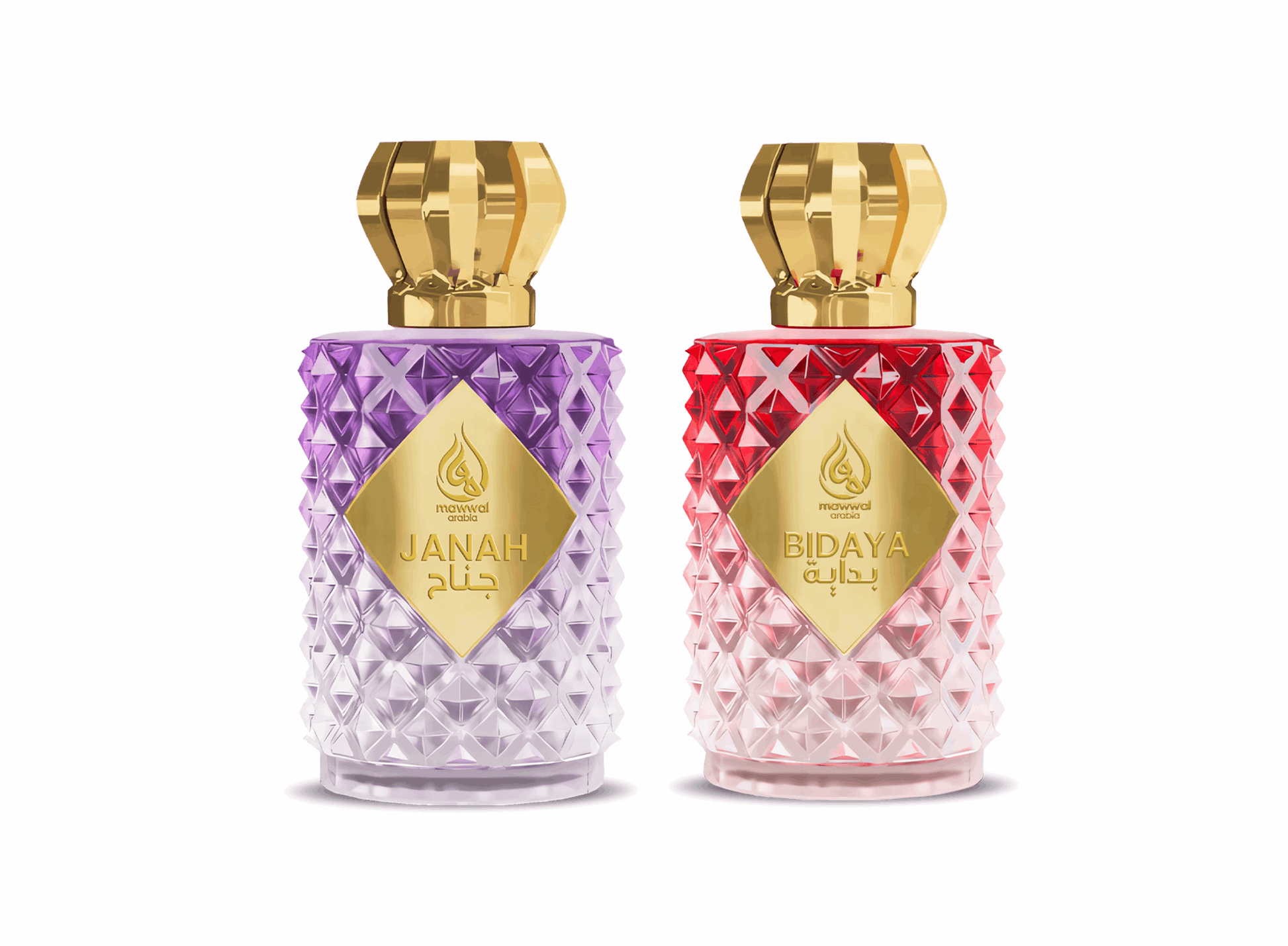 Oasis Transformation Duo – Eau de Parfum (2 × 100ml)